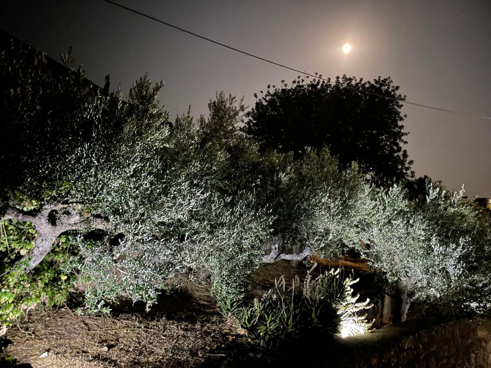 Πύργος παραδοσιακός με μαγευτική θέα Βίλα Αρεόπολις Εξωτερικό φωτογραφία